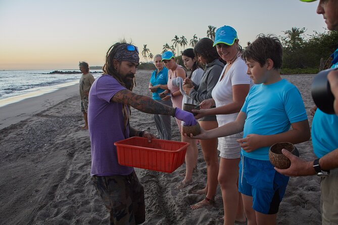 Sea Turtle Release – A Puerto Vallarta Conservation Adventure - Value for your money: conservation you can connect to