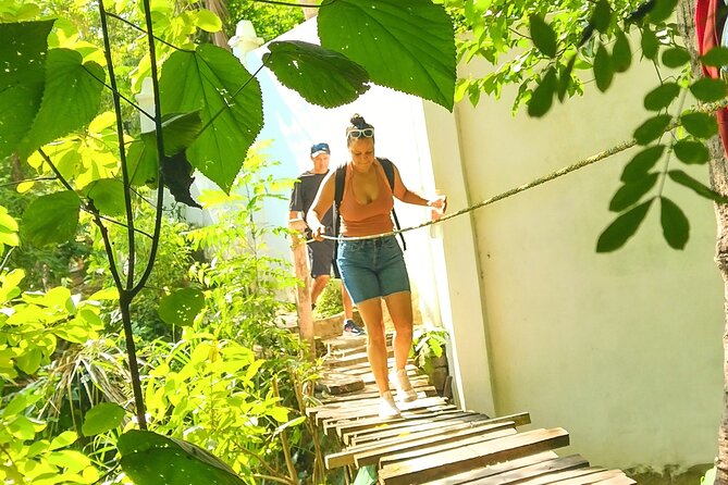 Selva y Playas Exóticas, Senderismo en Puerto Vallarta - Seasons Matter: When the Trail Is Shaded vs. Sunny