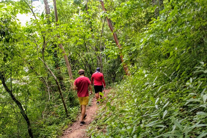 Selva y Playas Exóticas, Senderismo en Puerto Vallarta - Wildlife Spotting Is Not an Afterthought