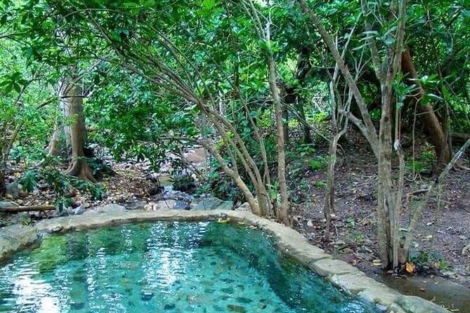 Shaded Hot Spring, Massage and Mex Grill in Puerto Vallarta - Market shopping and the tortilla-making stop