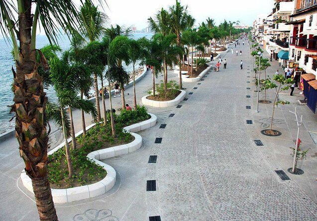 Signature Taco Tour in PV with Vallarta Eats - Key Things You’ll Notice Right Away