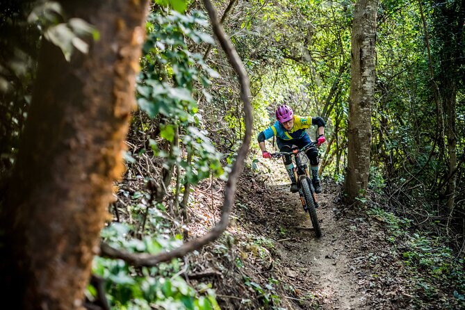 SINGLETRACK MOUNTAIN BIKE - Guided through the jungle - Picking the right trail system: Malpaso vs Punta Sayulita