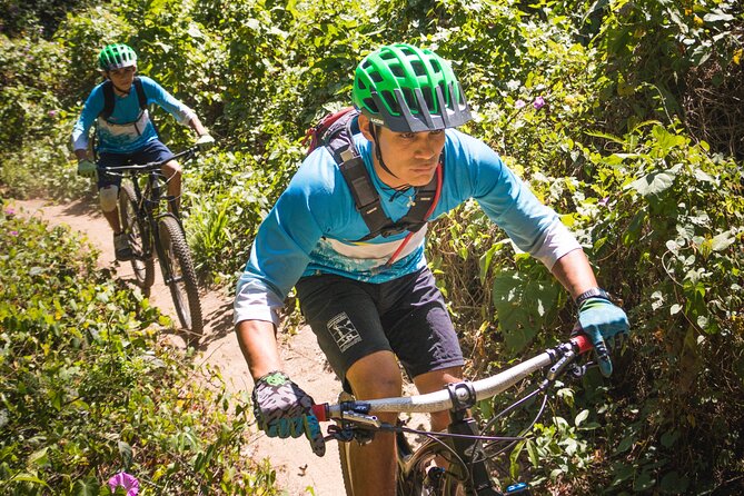 SINGLETRACK MOUNTAIN BIKE - Guided through the jungle - The jungle singletrack ride: what you can expect in real terms