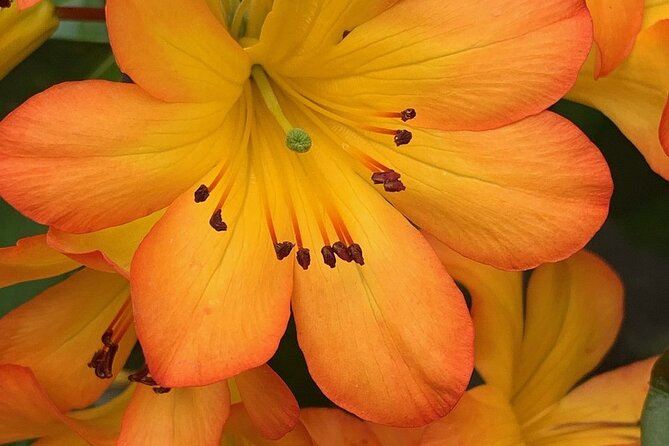 Skip the Line: Vallarta Botanical Garden Admission Ticket - The Los Horcones river swim: fun, but pack for it