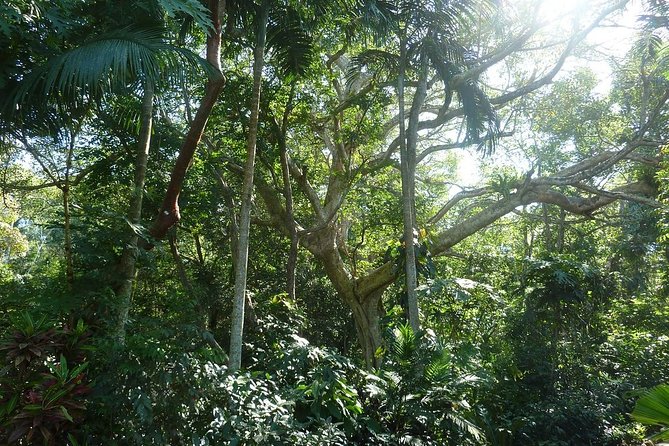 Skip the Line: Vallarta Botanical Garden Admission Ticket - Hacienda de Oro Restaurant: a real lunch stop with trade-offs