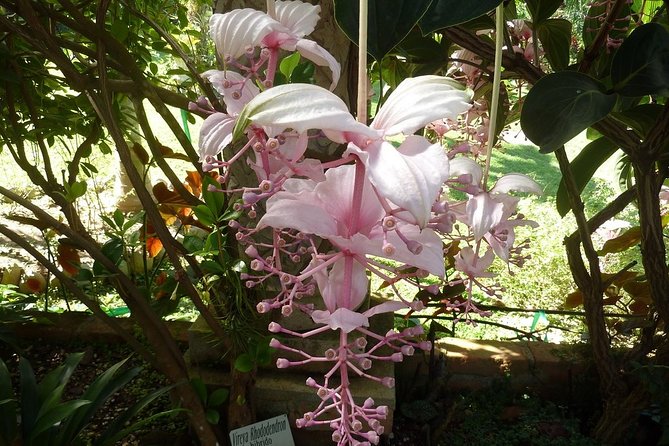 Skip the Line: Vallarta Botanical Garden Admission Ticket - Skip-the-line tickets: what you get (and what to double-check at entry)