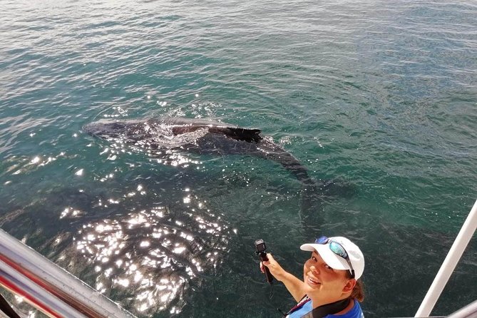 Small-Group Half-Day Whale-Watching Tour in Puerto Vallarta - Hearing whale song: the underwater mic moment