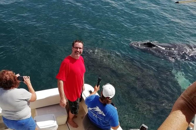 Small-Group Half-Day Whale-Watching Tour in Puerto Vallarta - Season timing and weather reality checks