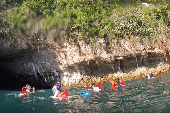Small Group Snorkeling in Los Arcos, Puerto Vallarta - The marine biologist lifeguard angle (and why it changes everything)