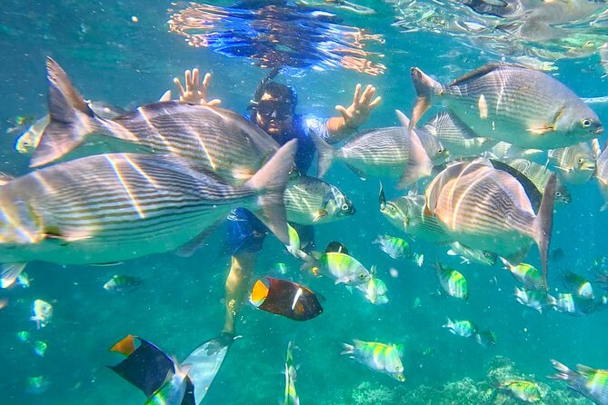 Snorkeling at Los Arcos 5 islands Hidden Beach and Cliff Jumping - How This 3.5-Hour Los Arcos Adventure Plays in Real Life