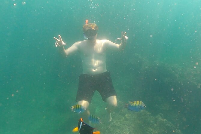 Snorkeling at Los Arcos 5 islands Hidden Beach and Cliff Jumping - Guide Energy and Group Size: Why It Feels Manageable