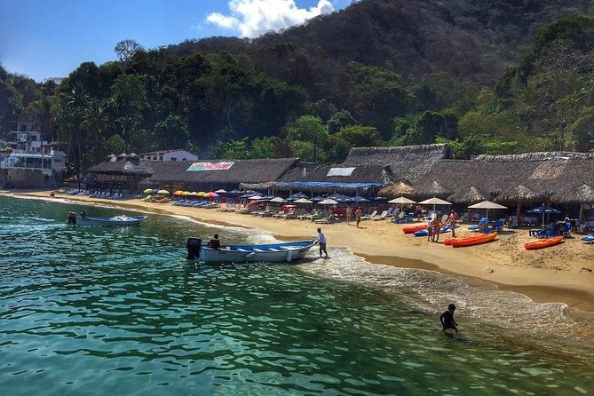 South Shore Private Sightseeing Cruise in Puerto Vallarta - Your onboard cruising time: snacks, drinks, music, and spotting animals