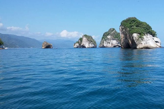 South Shore Private Sightseeing Cruise in Puerto Vallarta - The South Shore route: choosing between views, wildlife, and calm water