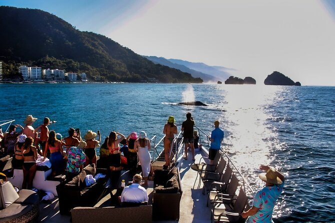 Sunsets and Whales Mega Yachts ALL INCLUSIVE: Puerto Vallarta - Bay of Banderas whale hunt: where the cruise spends its time