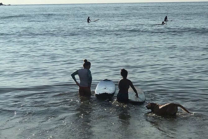 Surf Lesson for Beginners in Sayulita & Punta de Mita - Pickup, timing, and where you meet