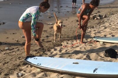 Surf Lesson for Beginners in Sayulita & Punta de Mita - How the 1.5-hour session really works (and why the timing is nice)