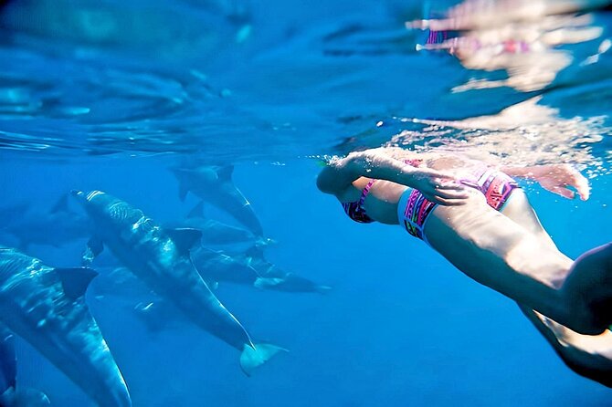 Swim and Paddle Board with Wild Dolphin Pods in Puerto Vallarta - Quick Highlights You’ll Care About