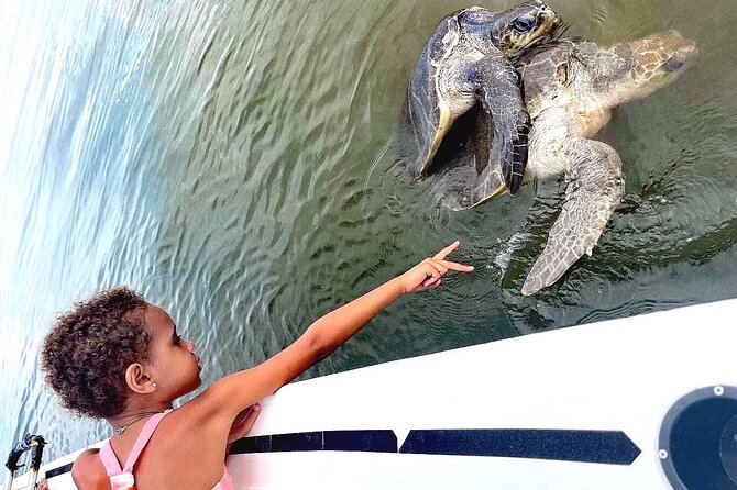 Swim and Paddle Board with Wild Dolphin Pods in Puerto Vallarta - Time on the Water: What the 4 Hours Actually Feels Like