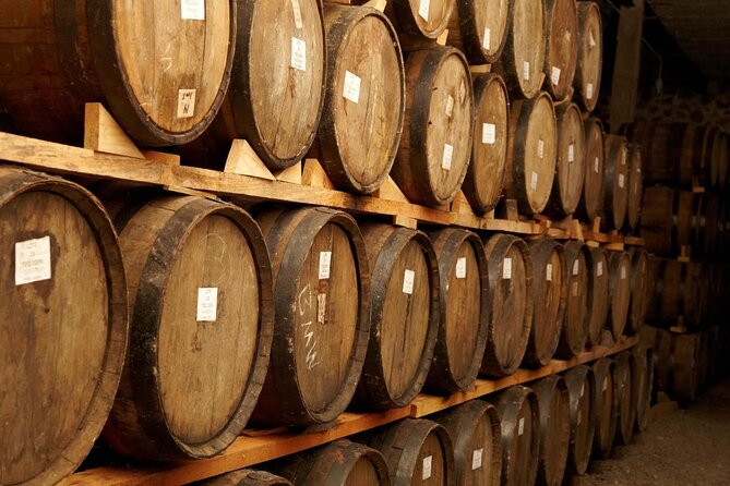 Tequila Jalisco Full Day Tour from Puerto Vallarta - Key Things I’d Focus On