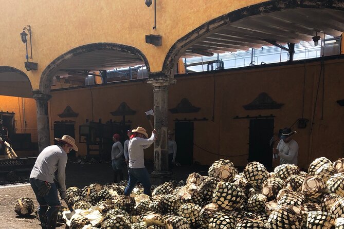Tequila Jalisco Full Day Tour from Puerto Vallarta - Casa Sauza Lunch: BBQ in Volcanic Stone Mortar