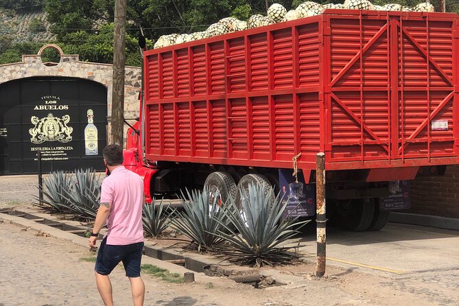 Tequila Jalisco Full Day Tour from Puerto Vallarta - Drinks, Comfort, and the Van Factor on Long Roads