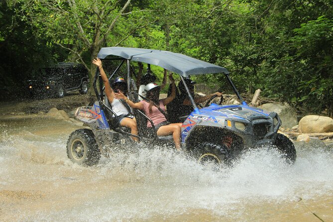 Unique Experience on ATVs or Razer through the Jungle! - Price and Value: Does $130 Make Sense?