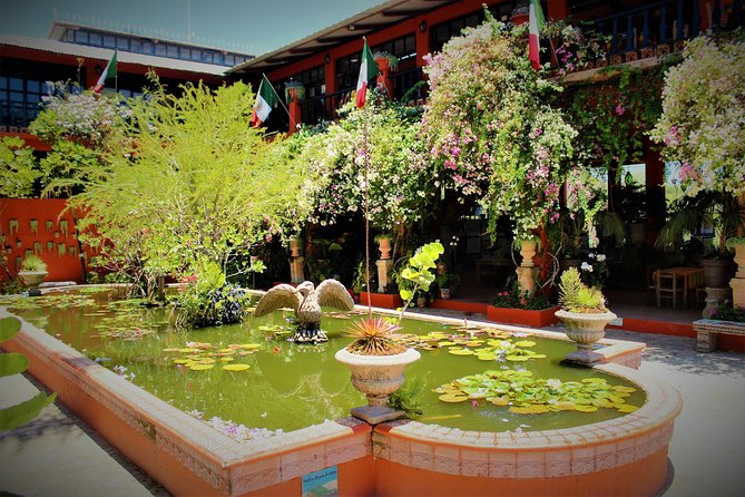 Vallarta Botanical Garden and Tequila Tasting from Puerto Vallarta - What to Bring: Heat, Bugs, and Footwear That Won’t Betray You