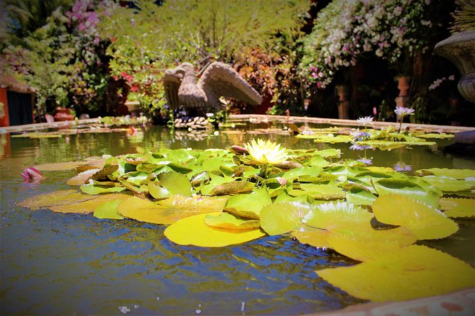 Vallarta Botanical Garden and Tequila Tasting from Puerto Vallarta - Who Should Book This Tour (and Who Might Skip It)