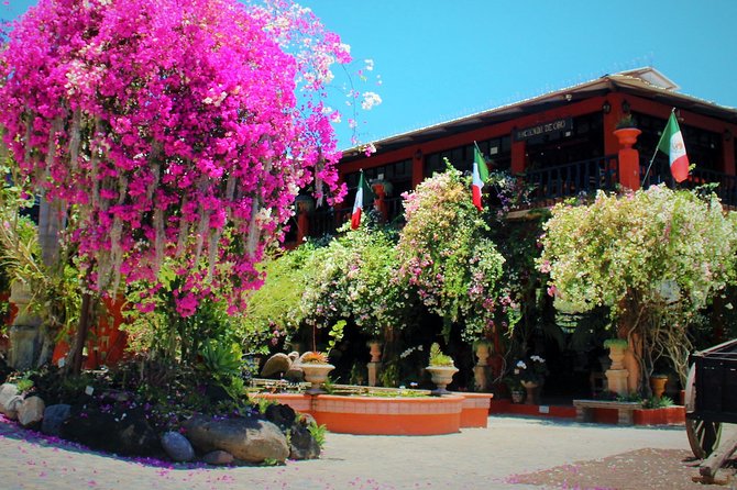 Vallarta Botanical Garden and Tequila Tasting from Puerto Vallarta - Should You Book This Tour?