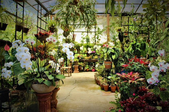 Vallarta Botanical Garden and Tequila Tasting from Puerto Vallarta - Summer’s Ranch Tequila: What You’ll Learn Before You Taste