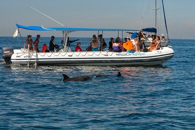 Whale and Dolphin Watching with a Biologist in Puerto Vallarta - The humpback moments I’d plan my day around