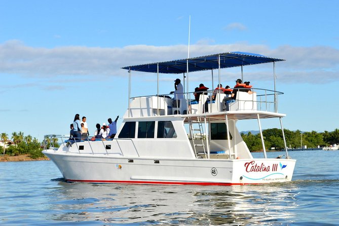 Whale & Dolphin Watching Cruise in Puerto Vallarta All Inclusive - Dolphins, Hydrophone, and Underwater Sound: The Extras That Add Texture