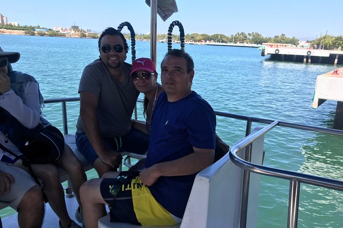 Whale & Dolphin Watching Cruise in Puerto Vallarta All Inclusive - Price and Value in Plain Numbers (and One Not-So-Plain Surprise)