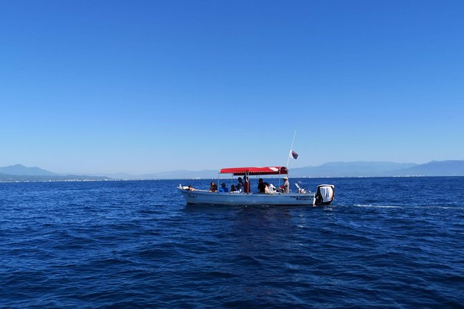Whale Encounter Puerto Vallarta - Learning whales up close: males competing, mothers caring, and songs below