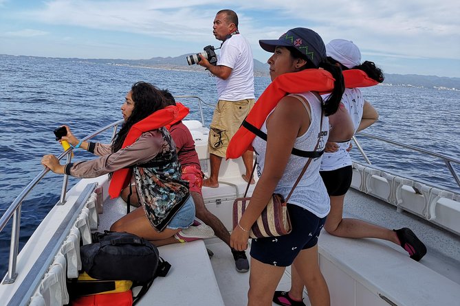 Whale Encounter Puerto Vallarta - Price and what you truly get for $99