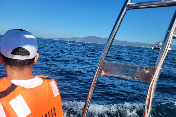 Whale watching 3 hours in Puerto Vallarta - Comfort checklist: warm layers, water, and motion reality