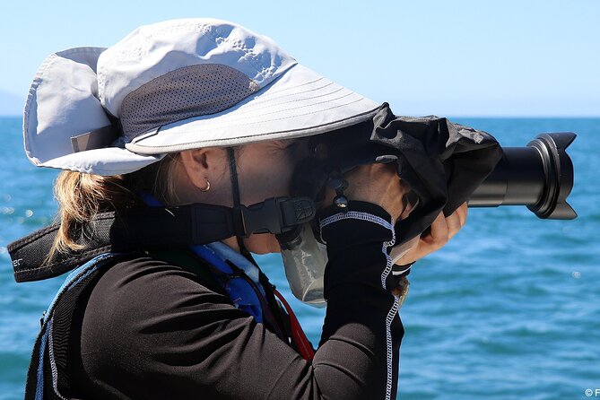 Whale Watching Adventure – Led by a Marine Biologist - Who should book this whale watching tour, and who should skip it