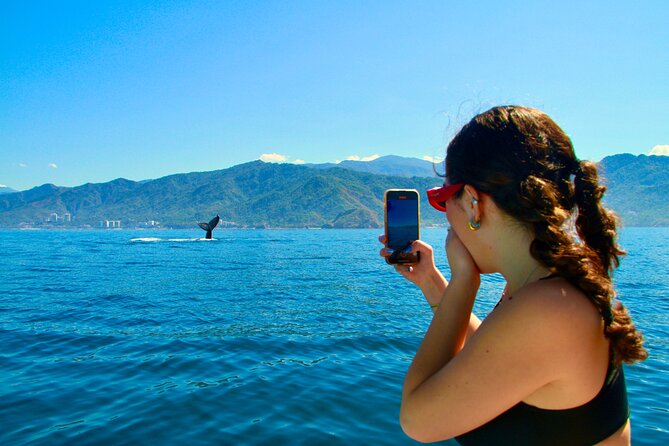 Whale Watching and Los Arcos 5 Islands Adventure - Key highlights you’ll notice fast