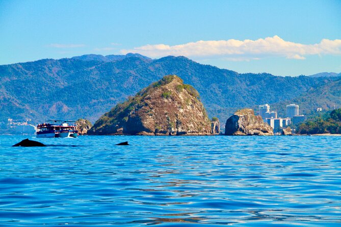 Whale Watching and Los Arcos 5 Islands Adventure - Playa Mismaloya check-in: sandals, sunscreen, and a quick plan