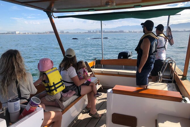 Whale Watching Experience – 4 Hours in Puerto Vallarta - Key Highlights You’ll Care About