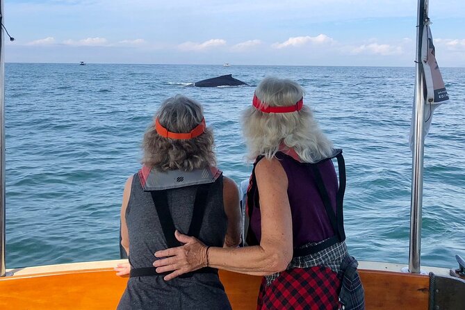 Whale Watching Experience – 4 Hours in Puerto Vallarta - Bruna, Small Group, and the 4-Hour “Go Now” Pace