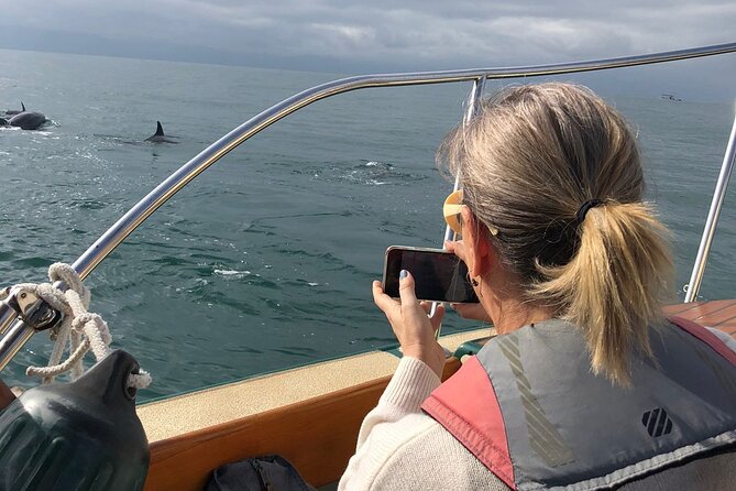 Whale Watching Experience – 4 Hours in Puerto Vallarta - Timing and When You Can Book