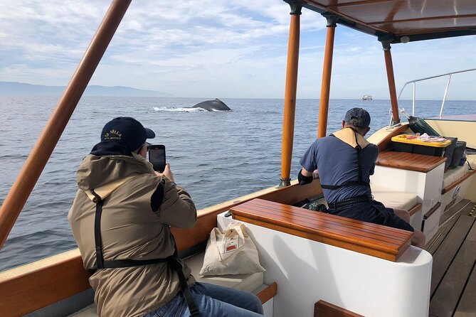 Whale Watching Experience – 4 Hours in Puerto Vallarta - What You Should Watch For on Your Trip