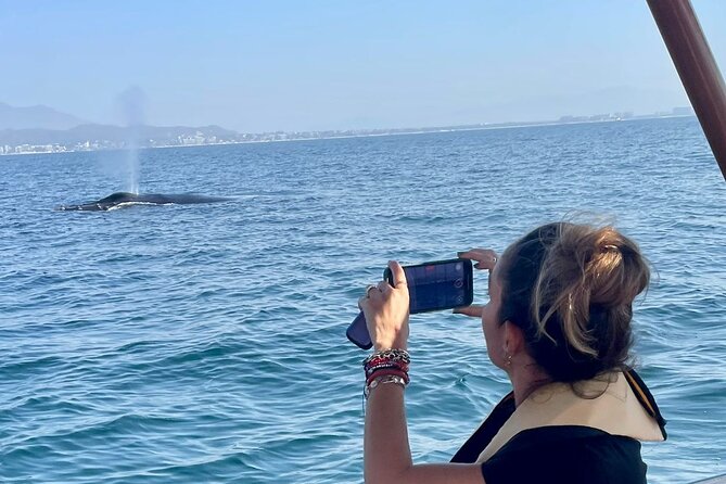 Whale Watching Experience in Puerto Vallarta - Key things I’d notice first