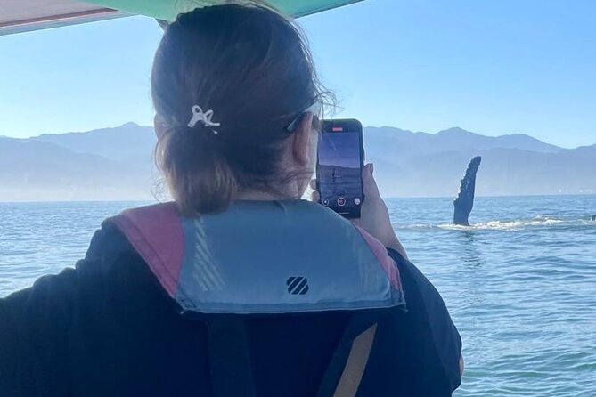 Whale Watching Experience in Puerto Vallarta - Science-first whale watching in the Bay of Banderas
