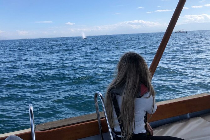 Whale Watching Experience in Puerto Vallarta - Listening to whales with the hydrophone: the extra wow factor
