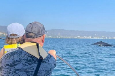 Whale Watching Experience in Puerto Vallarta - The 9:30 a.m. water time and what to expect on the route