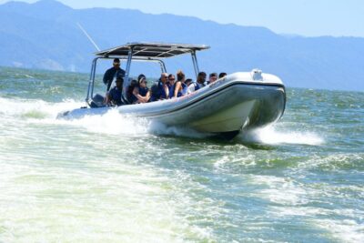 Whale Watching Guaranteed Experience in Puerto Vallarta - The high-speed boat ride: quick access to sightings
