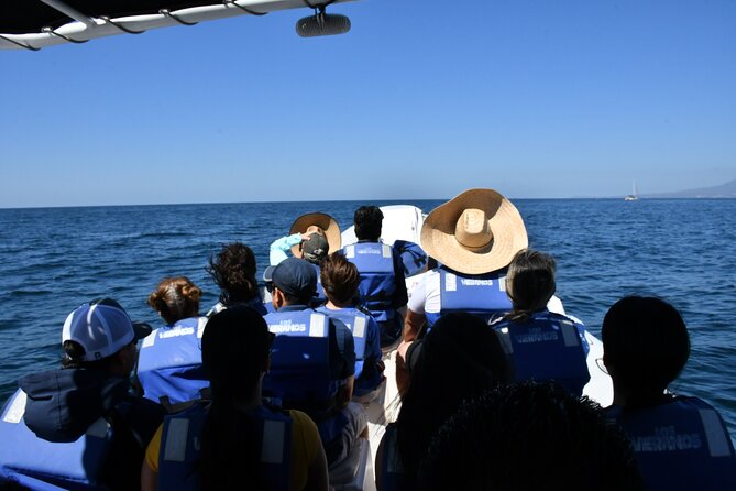 Whale Watching Guaranteed Experience in Puerto Vallarta - Price and value: why $99 can make sense here