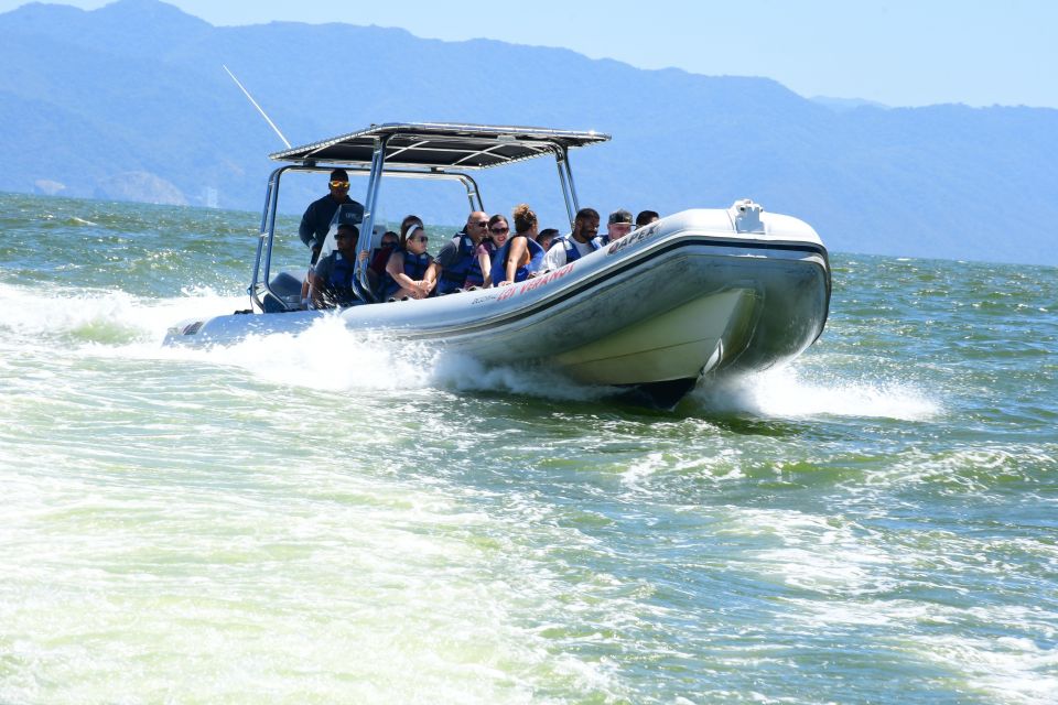 Whale Watching Guaranteed Experience in Puerto Vallarta - The Full Flow of the Trip Around Bahía de Banderas